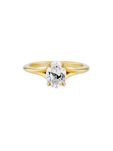 Load image into Gallery viewer, 7fb17c37-5daa-48ca-b257-813bb2f87f16:4:pack:women