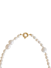 Load image into Gallery viewer, 224a2d86-7b54-49ec-a104-8a59ad11d625:2:pack:women
