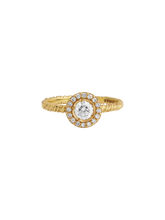 Load image into Gallery viewer, 9461b5ad-c4e1-46d3-ac02-8e69e01296f5:1:pack:women