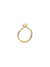 Load image into Gallery viewer, 976d39b4-35f7-46f6-8452-3c83e28d39e9:2:pack:women