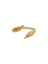 Load image into Gallery viewer, The open leaf ring gp