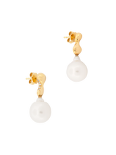 Load image into Gallery viewer, 422dce45-3660-4a37-adce-ad56cbf3d237:2:pack:women
