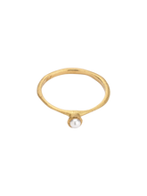 Load image into Gallery viewer, 44b80f5f-3f3c-4352-a57b-8d5dcc5d503c:1:pack:women
