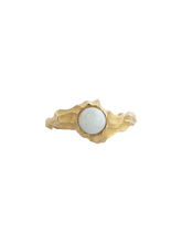 Load image into Gallery viewer, 08766e7a-92c7-4866-a9a1-6af720863af9:2:pack:women
