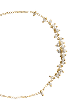 Load image into Gallery viewer, 7a4f2523-36b5-4bd7-9e44-7b10b62478e0:2:pack:women
