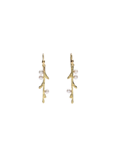 Load image into Gallery viewer, 8809583f-ffb1-4b13-8e97-7ab9b32f5c0f:1:pack:women
