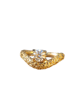 Load image into Gallery viewer, 304ff77b-6246-42e1-82e5-234f79df6582:1:pack:women
