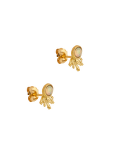 Load image into Gallery viewer, cba76d2e-563f-48ef-94d9-7a856ca2182b:2:pack:women
