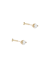 Load image into Gallery viewer, 9d837338-6bc0-4468-9f7c-6eea422cc989:2:pack:women

