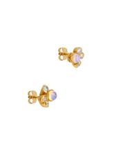 Load image into Gallery viewer, 8339aa5c-de10-4318-85c9-3d978226c247:2:pack:women
