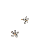 Load image into Gallery viewer, 25366d0d-83f3-4318-8e71-c1ed4fec60bb:1:pack:women
