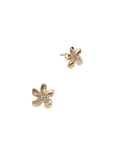 Load image into Gallery viewer, 2176b173-3d39-4cec-af1c-1a58e4cfeae9:1:pack:women
