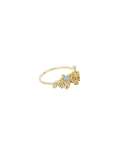 Load image into Gallery viewer, 25a58cf8-d9e2-4d06-b0e0-4233de895579:2:pack:women
