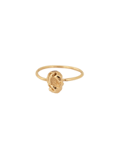 Load image into Gallery viewer, 0a004c7e-0602-4b4a-bbe0-f7c1e0815136:1:pack:women
