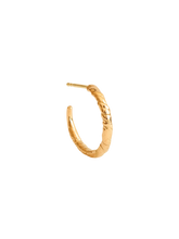 Load image into Gallery viewer, 18ff9d34-b29d-4e8d-8c8f-601adb68da33:1:pack:women
