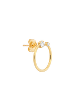 Load image into Gallery viewer, 8b5bc184-a0af-4d81-82e2-b66f0ebb79c3:2:pack:women
