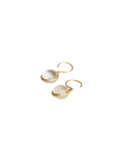 Load image into Gallery viewer, 2b85d8e7-0e47-471f-bd20-9f2f8657659e:1:pack:women
