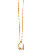 Load image into Gallery viewer, 3aa40e10-f792-4451-b179-305219ff4c20:1:pack:women
