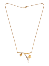 Load image into Gallery viewer, 7353f6bb-0b10-47c3-a5cd-26409f03b130:4:pack:women
