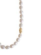 Load image into Gallery viewer, ce24b000-96f9-435c-9510-d239b0e6d7ec:1:pack:women
