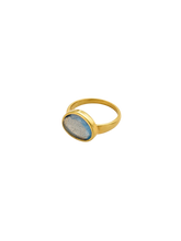 Load image into Gallery viewer, fcb1cf89-402d-4e6d-b4b7-6b36acdbfef9:2:pack:women
