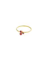 Load image into Gallery viewer, 34027fc1-3405-43ff-a4c0-0785872ada10:3:pack:women
