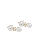 Load image into Gallery viewer, f25a2915-3284-4f12-9944-9b76b9810a98:2:pack:women
