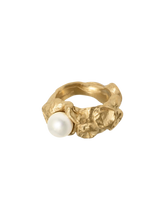 Load image into Gallery viewer, 8f310617-e9a5-43d2-97a0-1b5d74c00c01:1:pack:women

