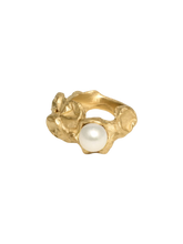 Load image into Gallery viewer, 8f310617-e9a5-43d2-97a0-1b5d74c00c01:2:pack:women
