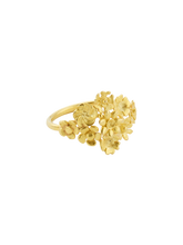 Load image into Gallery viewer, b388d633-c6e5-4632-addd-74147c17c0f0:1:pack:women
