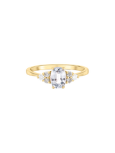 Load image into Gallery viewer, 084b73c5-c008-4088-8d19-4663027eebdc:1:pack:women
