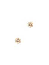 Load image into Gallery viewer, 7095ca6d-916c-44b8-80af-2e4d0c598e40:1:pack:women
