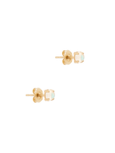 Load image into Gallery viewer, a9eff232-c74f-4e2b-b69e-7c3362fc4622:2:pack:women
