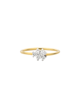 Load image into Gallery viewer, bbf8598e-a3b5-4971-9f20-af5e7599698e:1:pack:women
