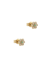 Load image into Gallery viewer, 8ad557c3-2748-486c-b205-1d57b4134506:2:pack:women
