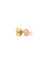Load image into Gallery viewer, 1576ddb4-ce4f-4d78-b00a-d2b26452666e:2:pack:women
