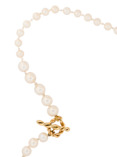 Load image into Gallery viewer, a88ea91e-1c69-44d2-b738-0faa2ac1b9fa:2:pack:women
