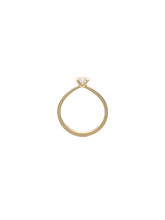 Load image into Gallery viewer, 49da946c-b849-4255-bfaf-e82f3ca78314:1:pack:women
