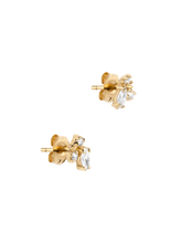 Load image into Gallery viewer, 0c2041ee-75a8-4a22-bc94-4e3f11c0a12d:1:pack:women
