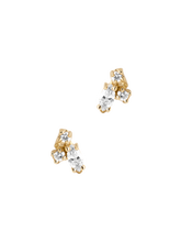 Load image into Gallery viewer, 0c2041ee-75a8-4a22-bc94-4e3f11c0a12d:2:pack:women
