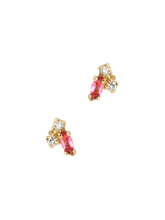 Load image into Gallery viewer, f9935bd2-e8ed-4d44-9c6f-4babbef4feff:2:pack:women

