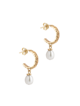 Load image into Gallery viewer, f7625588-ce95-4566-920b-91c040226288:1:pack:women

