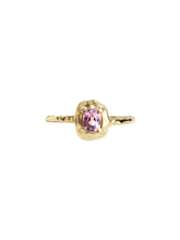 Load image into Gallery viewer, 91bfe9e6-c8e4-4a22-bb79-d0cfaa05ec39:2:pack:women
