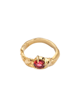 Load image into Gallery viewer, 14cfe27c-8cf9-41be-a7d6-bbf06602e206:2:pack:women
