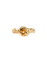 Load image into Gallery viewer, bfad86ce-d744-4447-ba08-ad599a3ae4f5:2:pack:women
