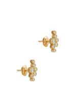 Load image into Gallery viewer, 78fe8d02-a8af-4148-9c10-d0c4aa02bdd5:2:pack:women
