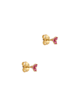 Load image into Gallery viewer, 0c46fe51-ca4a-4fe0-aeb1-5f89c4c0c57c:2:pack:women
