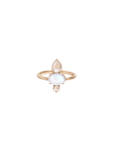 Load image into Gallery viewer, a0d6dcb5-37f9-4f4c-8367-0a48deb45099:1:pack:women
