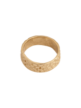 Load image into Gallery viewer, Panther chain band
