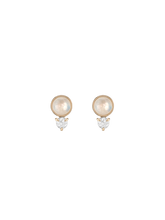 Load image into Gallery viewer, ff230488-1b47-4085-af58-e2810b023df1:1:pack:women

